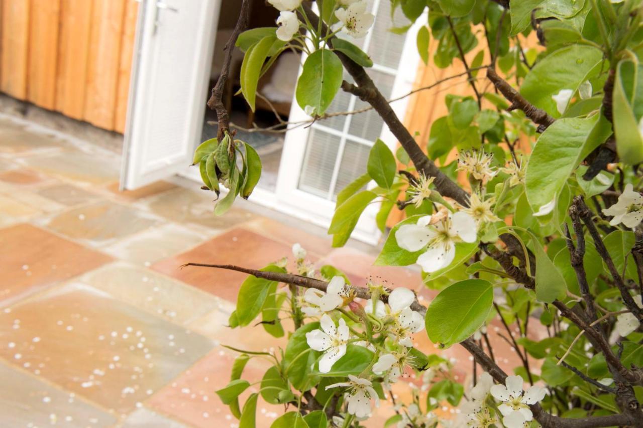 Pear Tree Cottage Cullen Exteriör bild